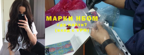 мдпв Пестово
