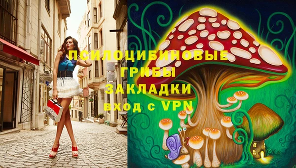 ГАЛЛЮЦИНОГЕННЫЕ ГРИБЫ Алексин