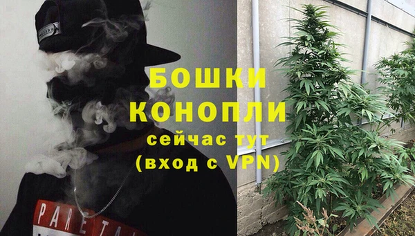 трава Абаза