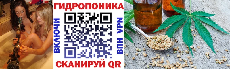 Конопля White Widow  darknet наркотические препараты  Котельнич  дарнет шоп 